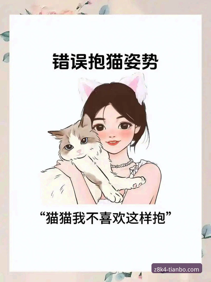 新手必看：天博体育Z8K4教程手机版vs网页版，哪一个更适合你？